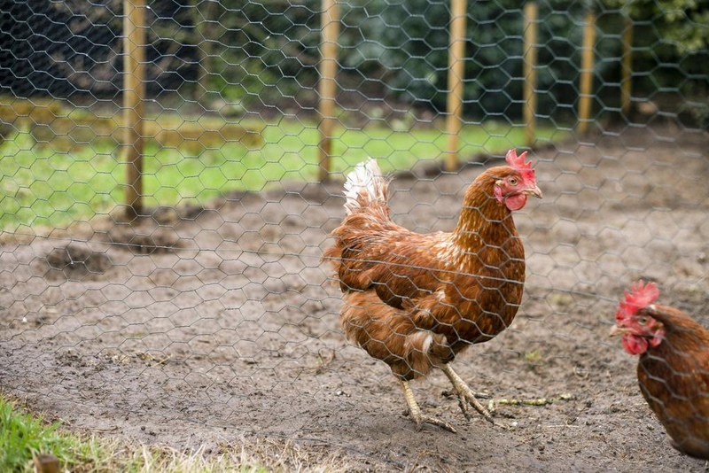 Olst Houtweg 22 – Foto 24