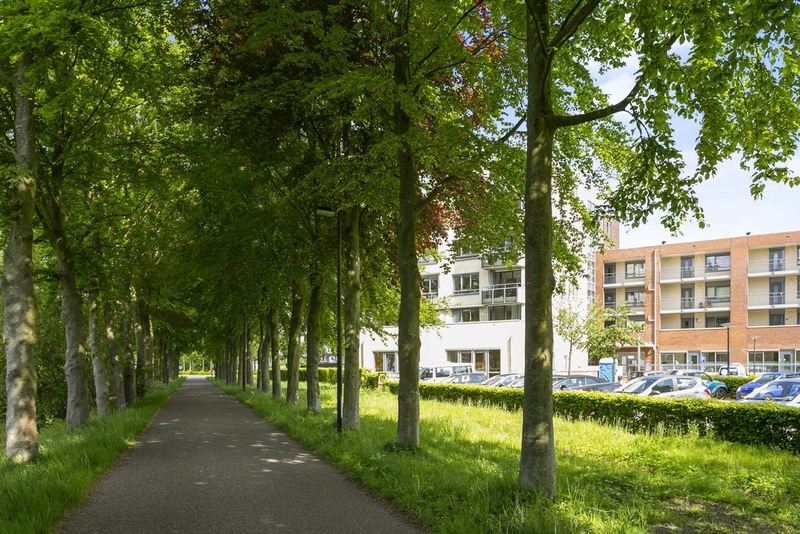 Deventer Hendrik Verheesstraat 48 – Foto 13