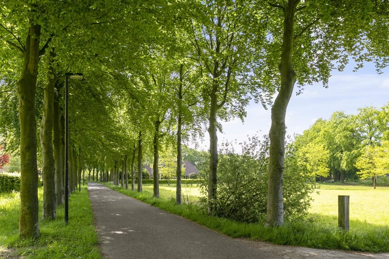 Deventer Hendrik Verheesstraat 48 – Foto 16