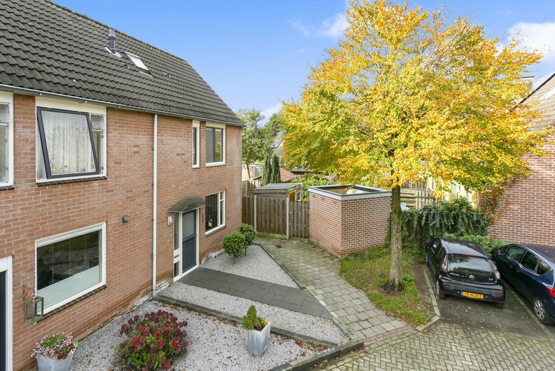 Deventer Vlaamse gaai 20 – Foto 2