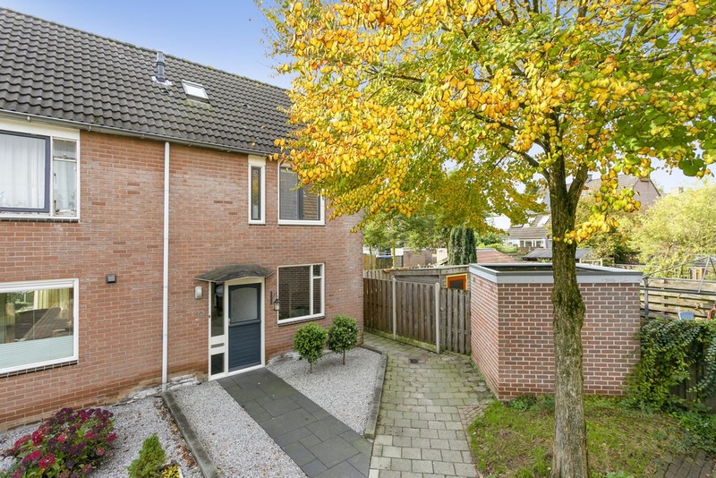 Deventer Vlaamse gaai 20 – Foto 28