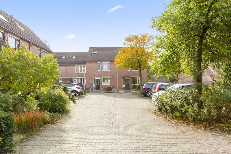 Deventer Vlaamse gaai 20 – Foto 16