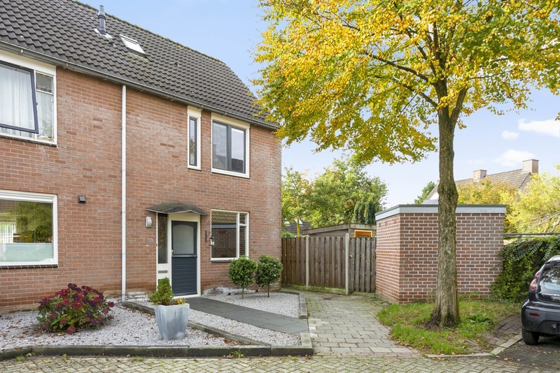 Deventer Vlaamse gaai 20 – Foto 8