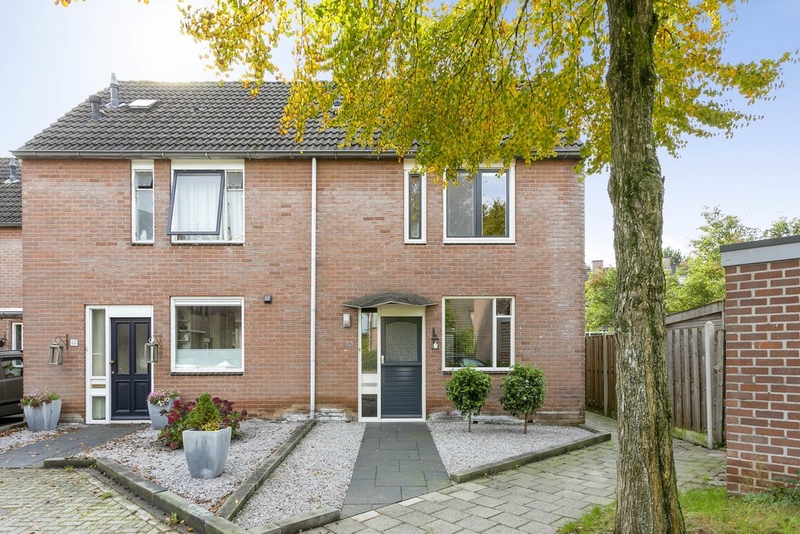 Deventer Vlaamse gaai 20 – Hoofdfoto