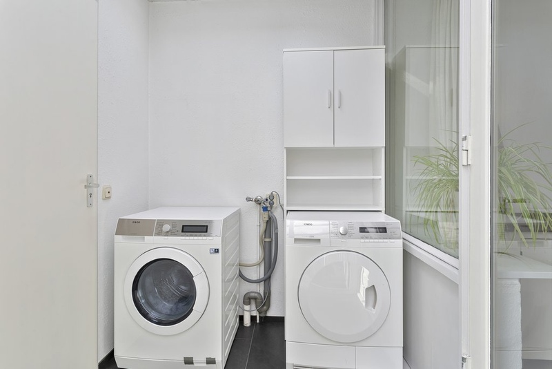 Deventer Vlaamse gaai 20 – Foto 10