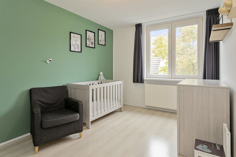 Deventer Vlaamse gaai 20 – Foto 12