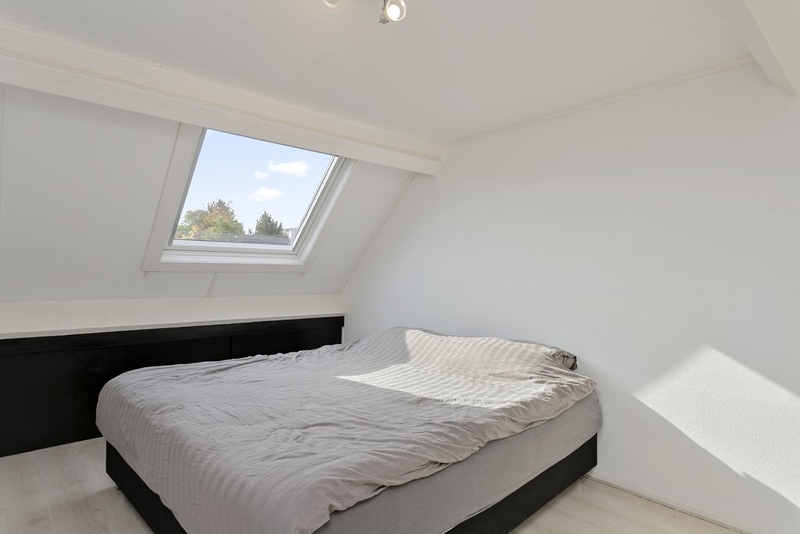 Deventer Vlaamse gaai 20 – Foto 7