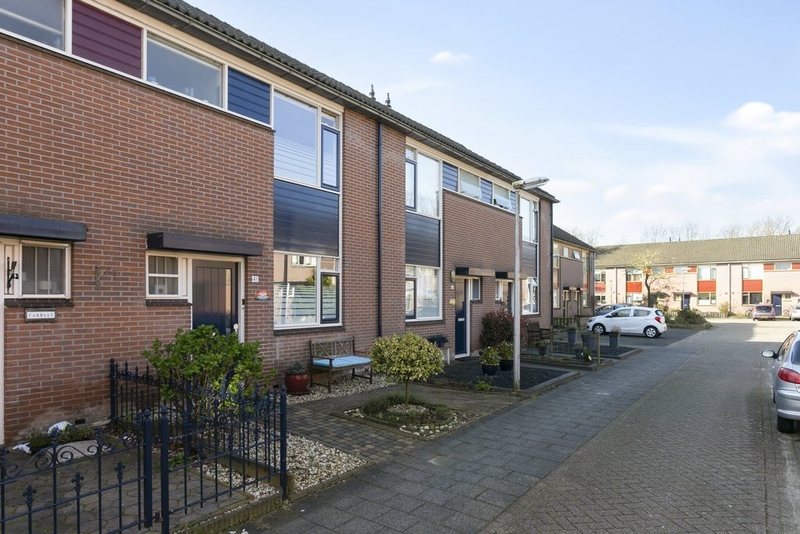 Deventer Citroenvlinder 41 – Foto 15