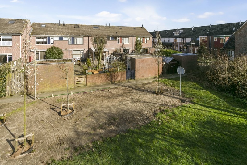 Deventer Citroenvlinder 41 – Foto 9