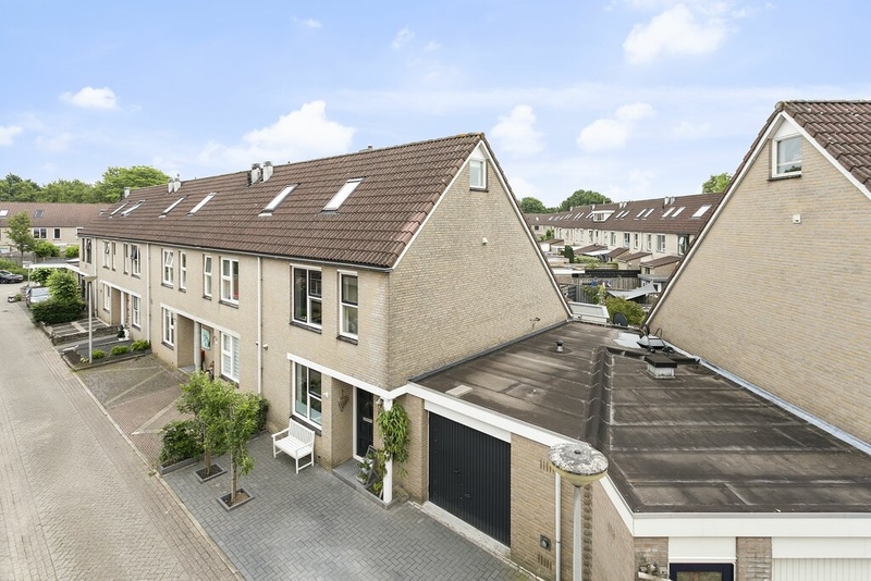 Deventer Korenbloem 50 – Foto