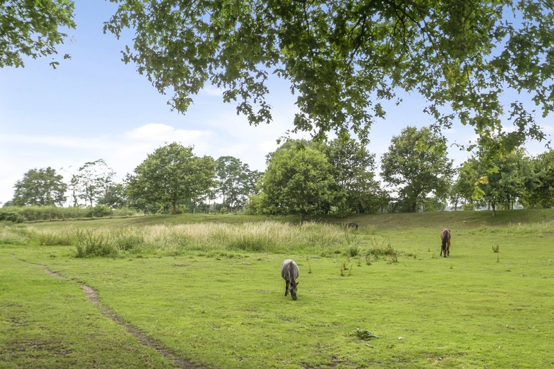 Epse Het Wilgert 6 – Foto 15