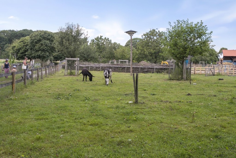 Deventer Kromhoutstraat 34 – Foto