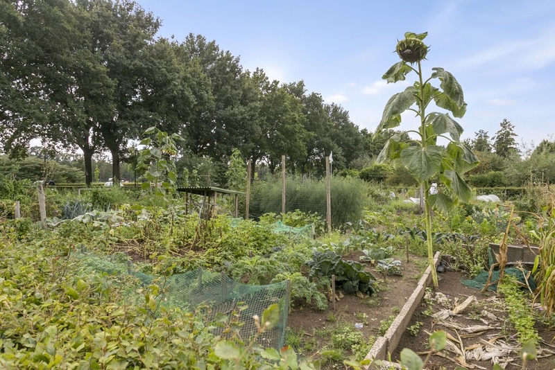 Deventer Johan Wensinkstraat 22 – Foto 17