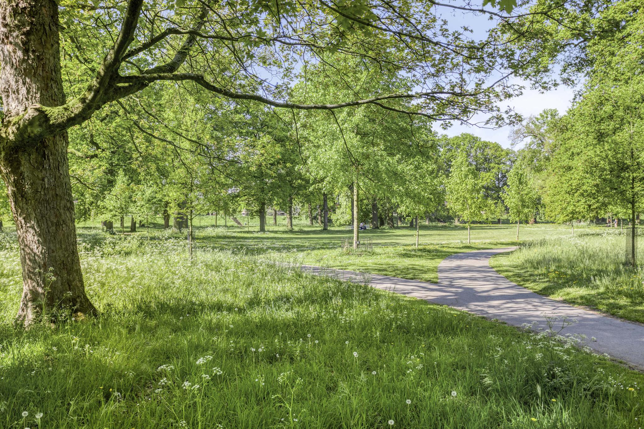 Deventer Worp 65 – Foto 41