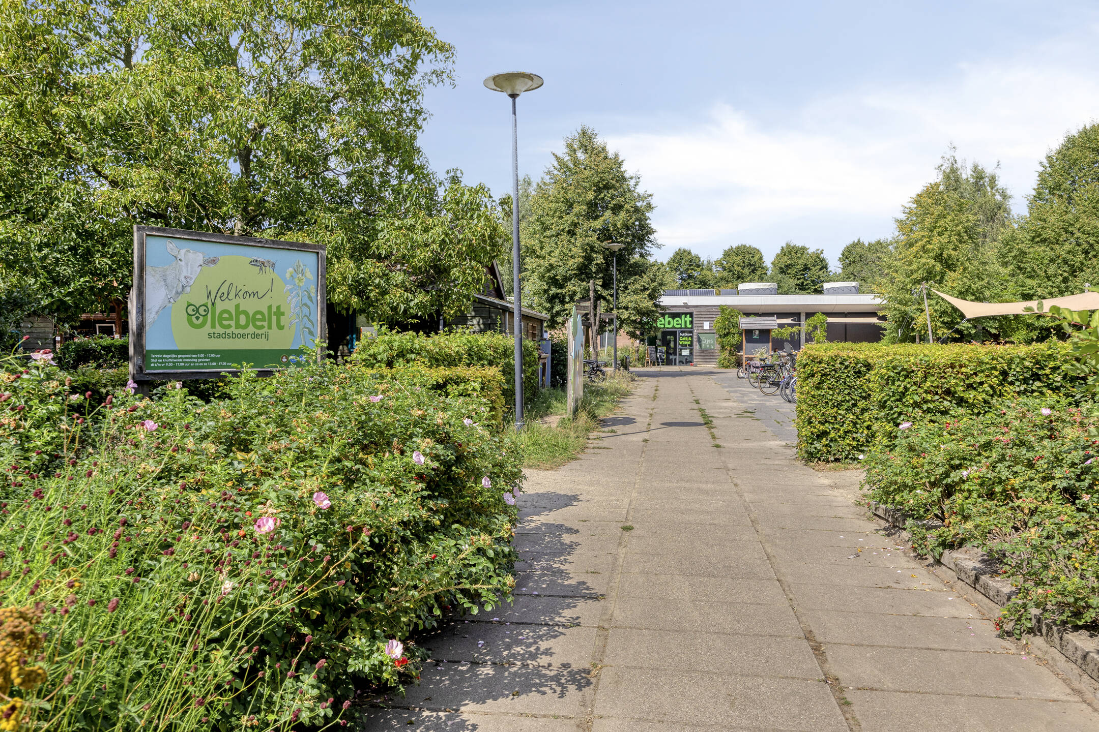 Deventer Van Ravesteynpad 41 – Foto 31