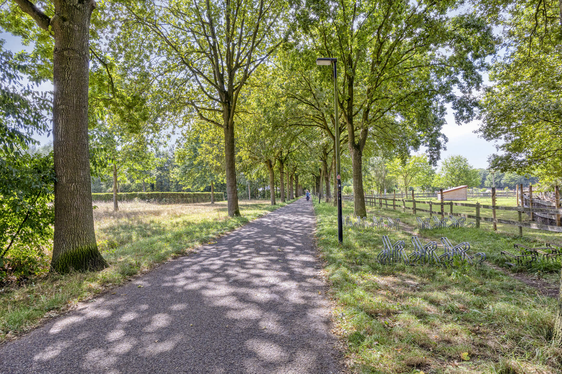 Deventer Van Ravesteynpad 41 – Foto 33