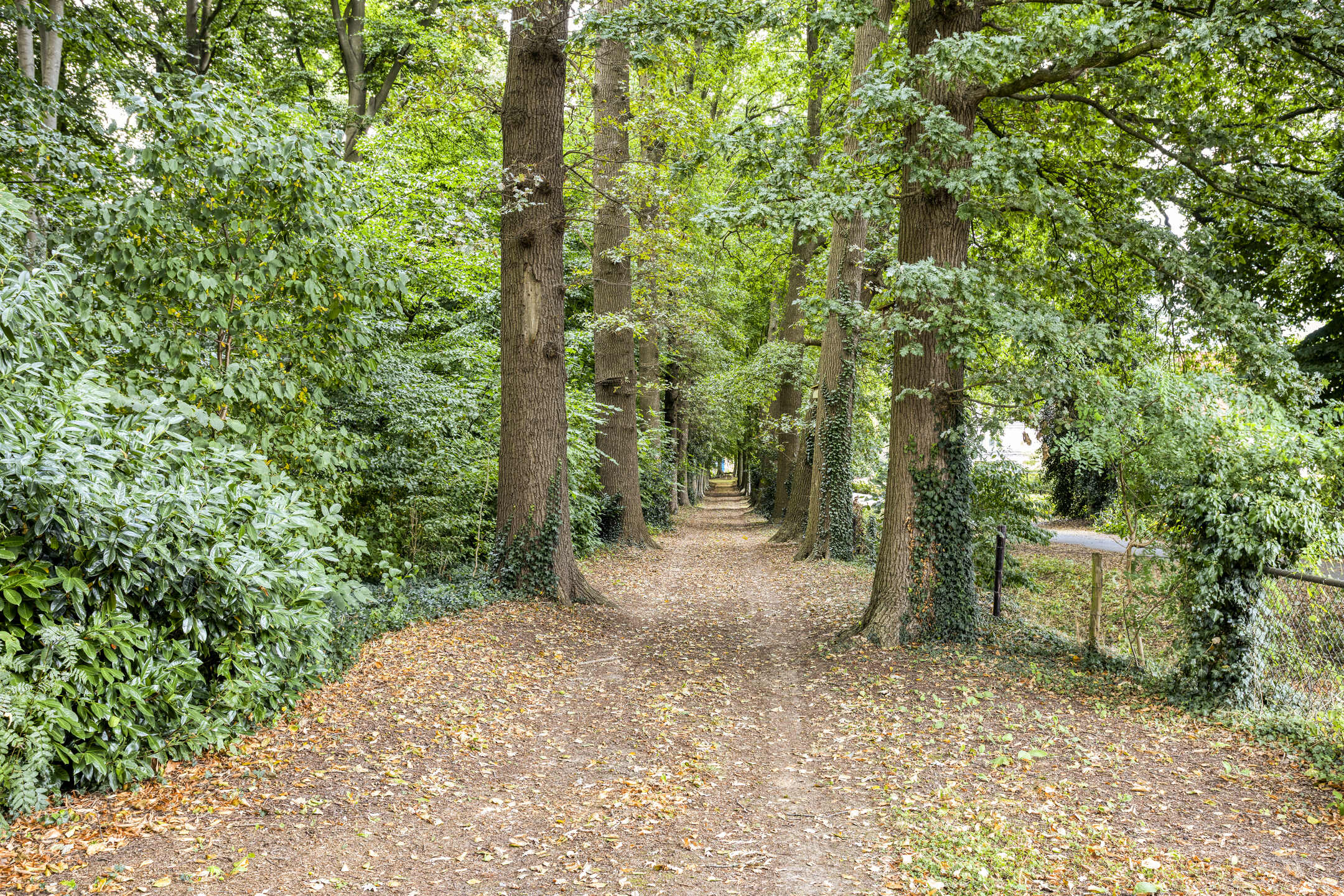 Schalkhaar Timmermansweg 23 – Foto 35