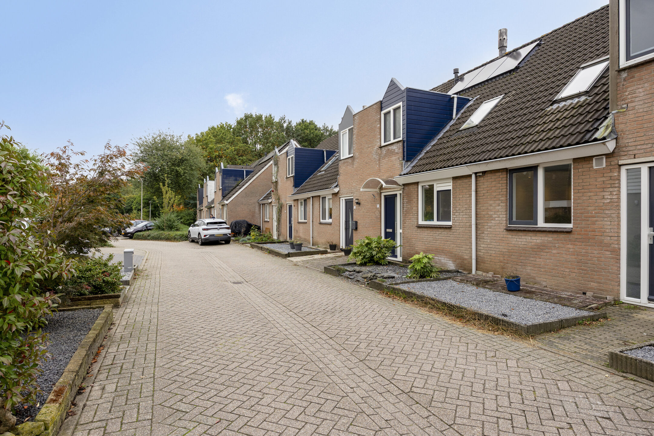 Deventer Bosanemoon 10 – Foto 21