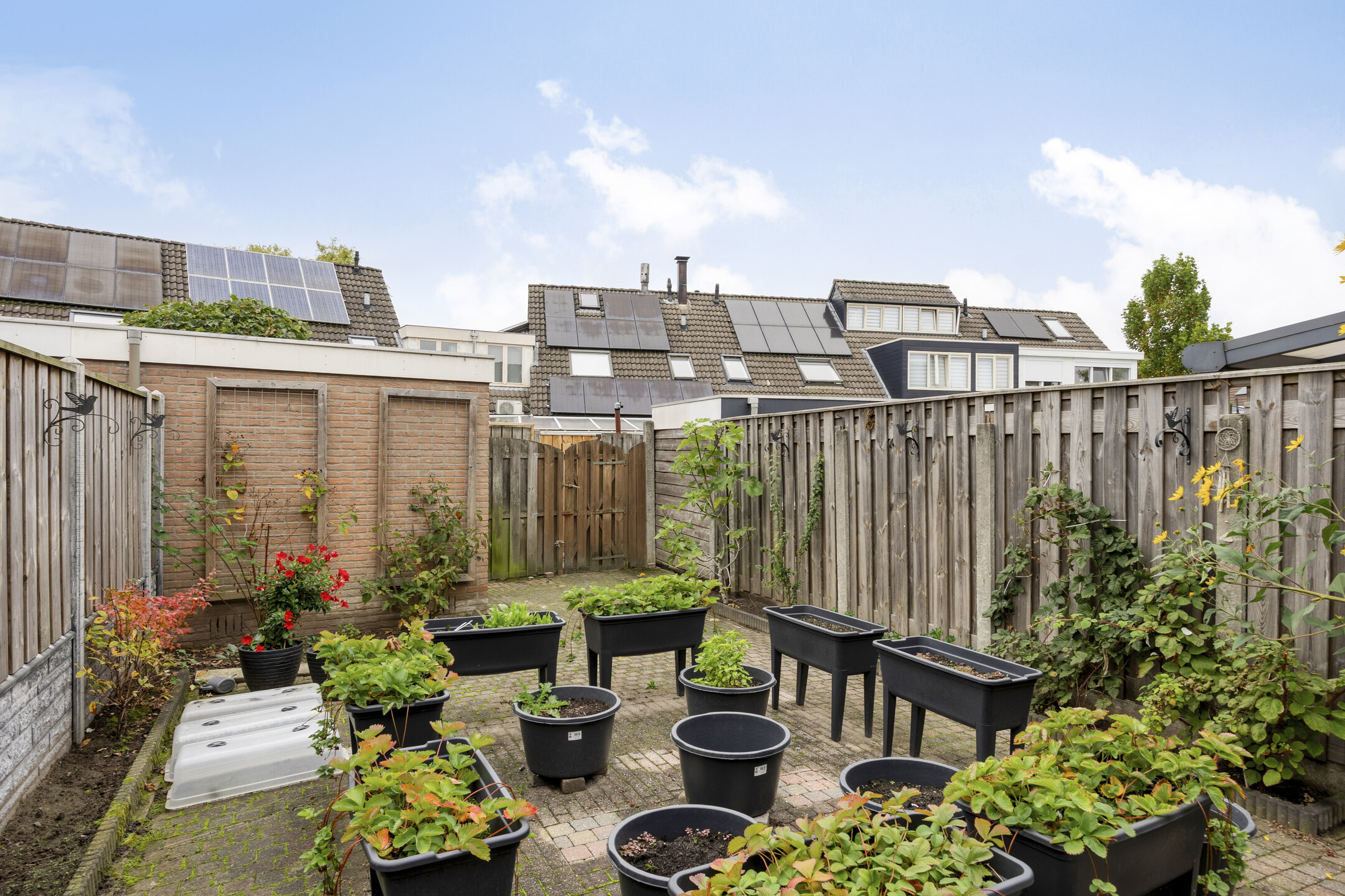 Deventer Bosanemoon 10 – Foto 16