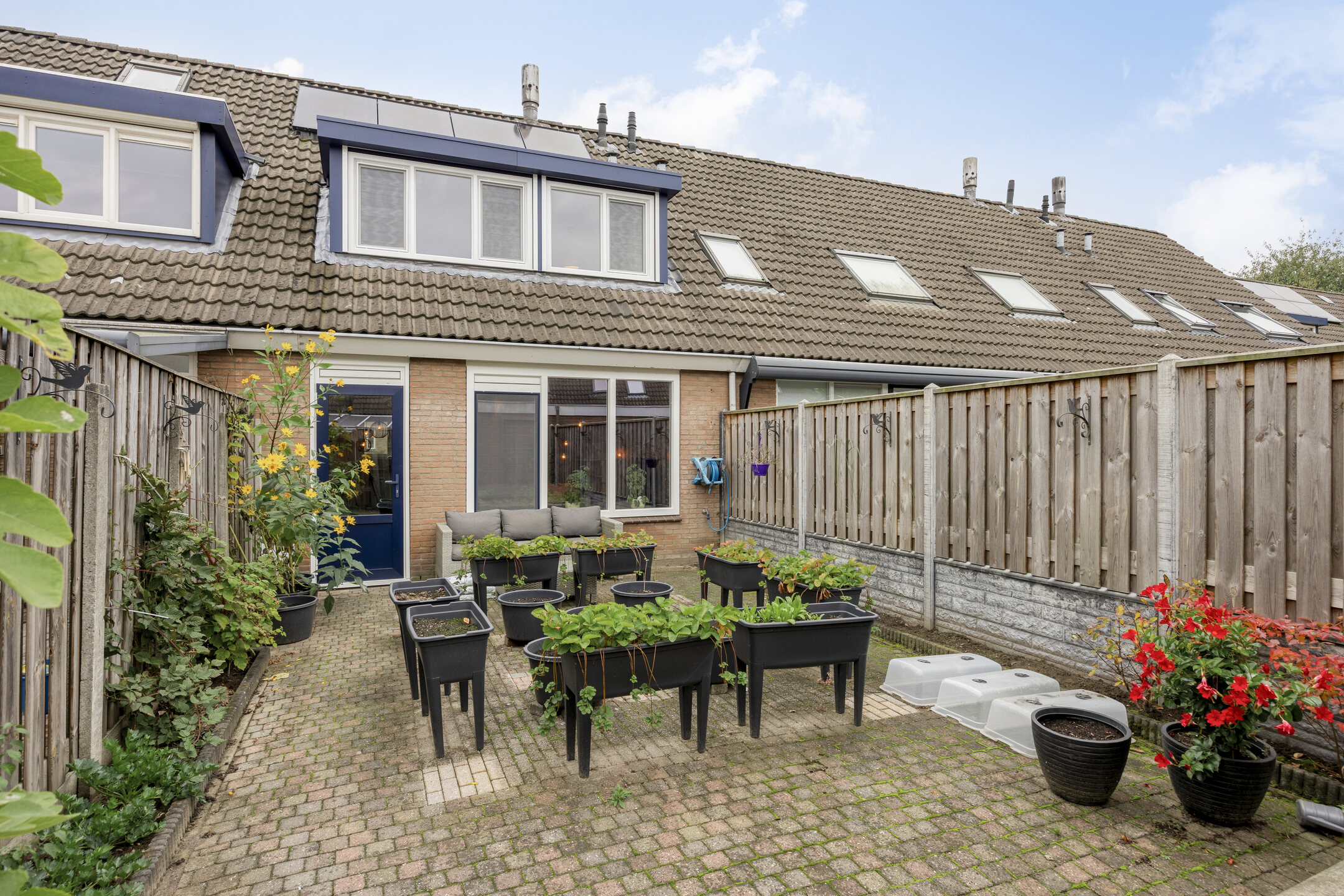 Deventer Bosanemoon 10 – Foto 14