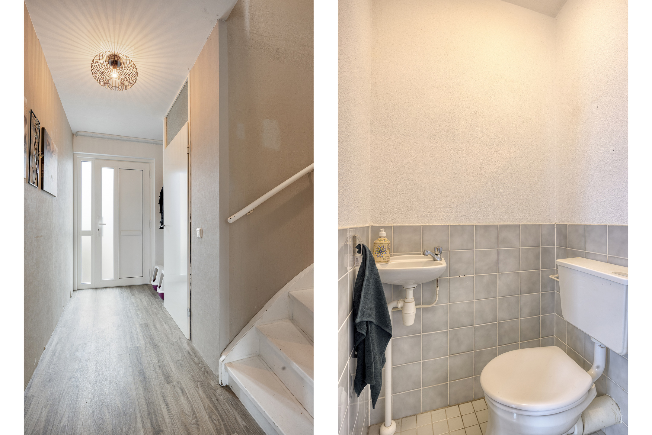 Deventer Bosanemoon 10 – Foto 6