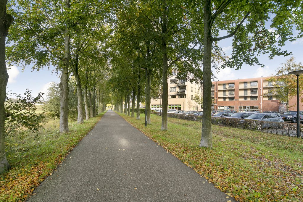 Deventer Hendrik Verheesstraat 54 – Foto 14