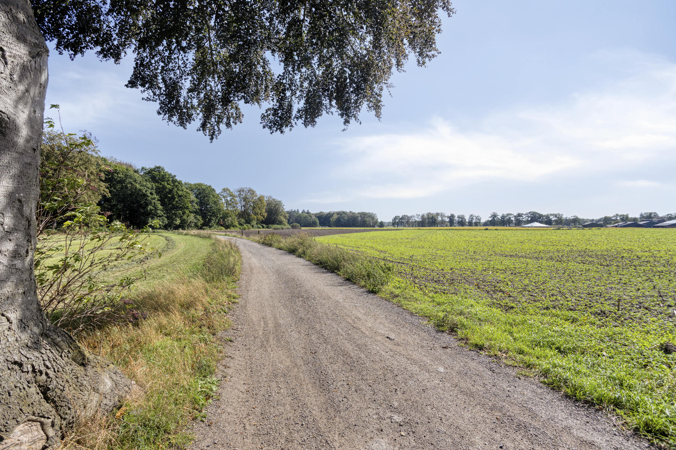 Epse Haeverhorst 7 – Foto 25