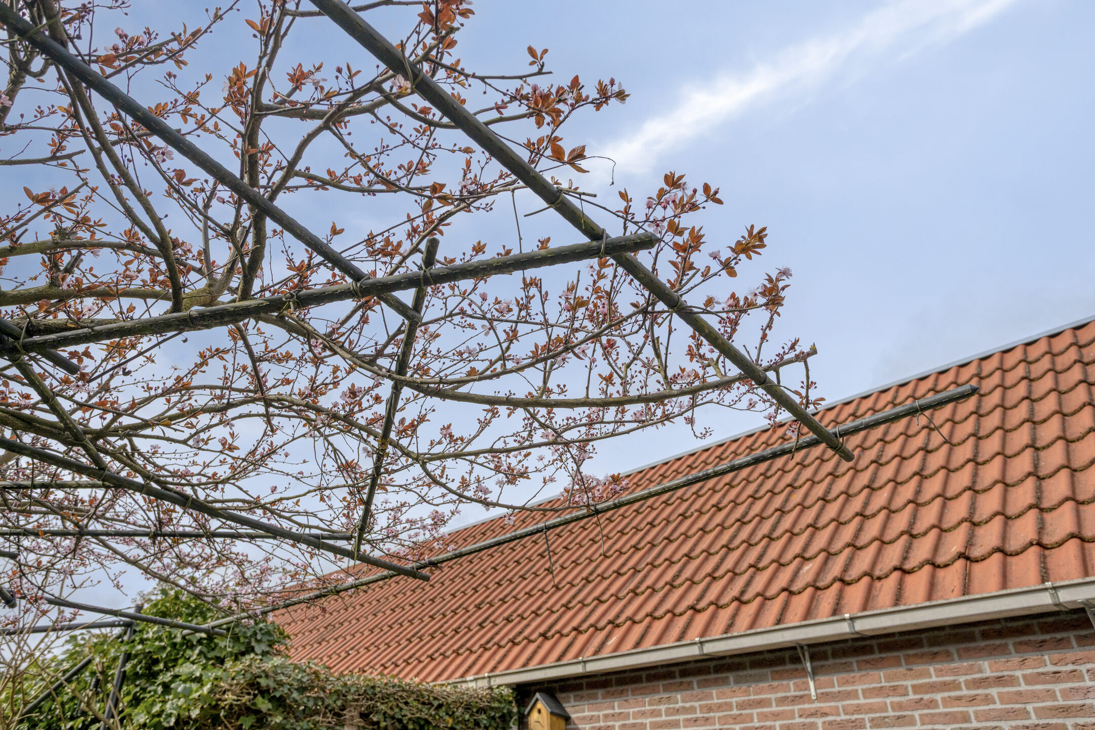 Deventer Langestraat 106 – Foto 29