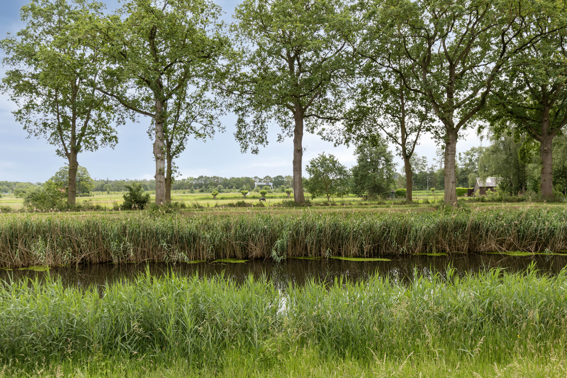Bathmen Bisschopsland 10 – Foto 36