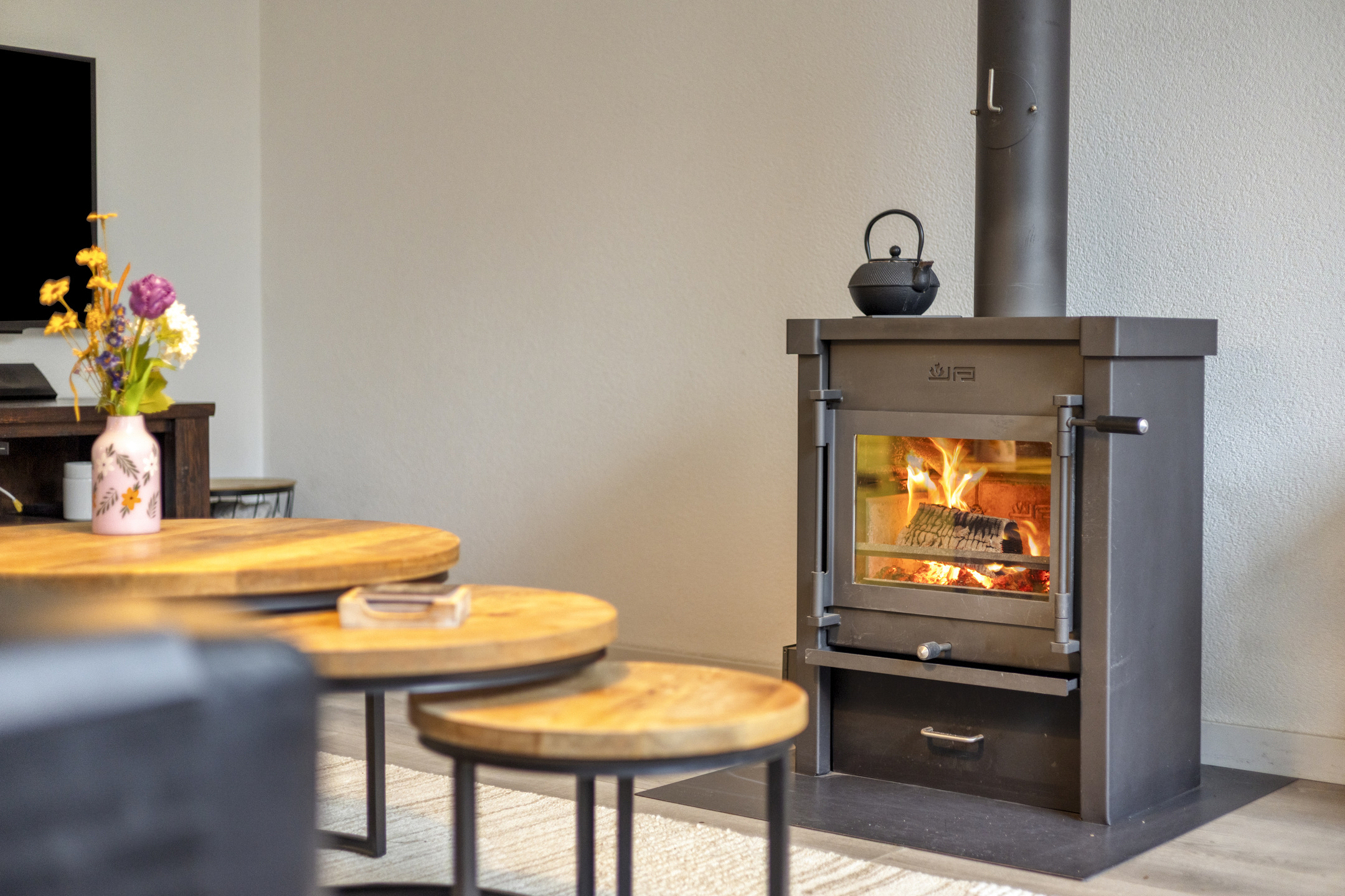 Deventer Winterkoning 19 – Foto 5