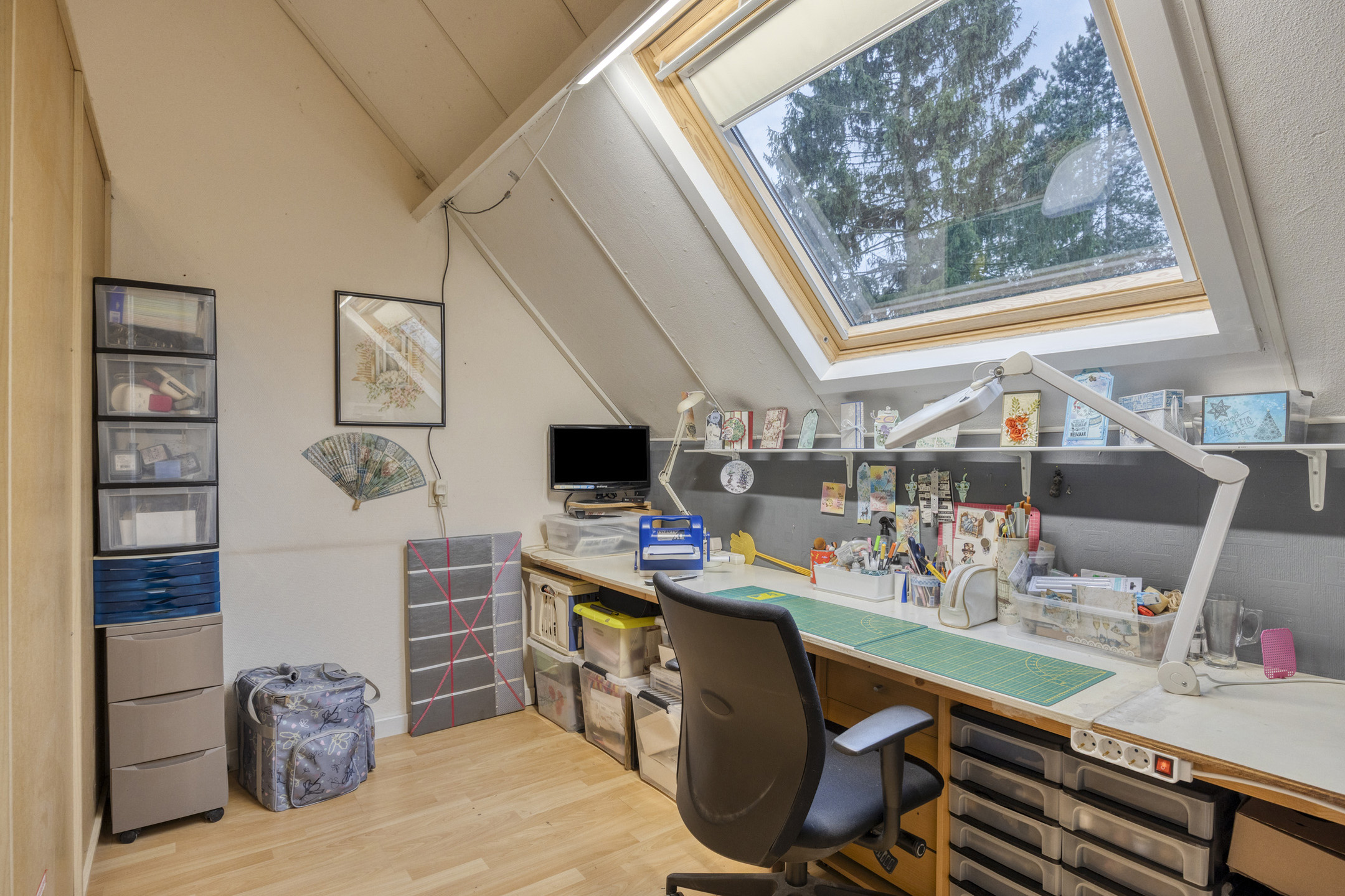 Deventer Winterkoning 19 – Foto 21