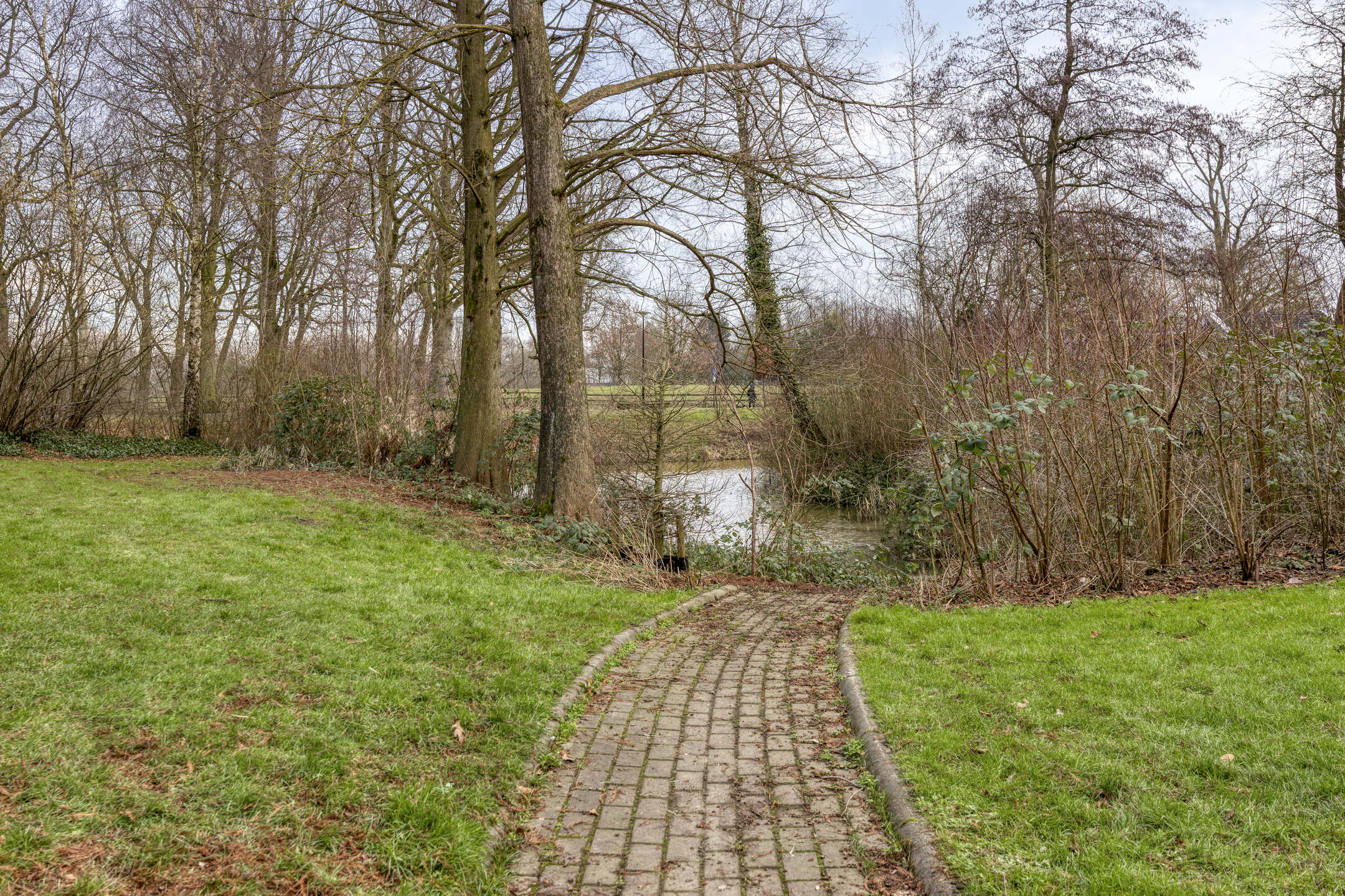 Deventer Winterkoning 19 – Foto 33